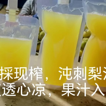 刺梨汁