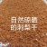刺梨干