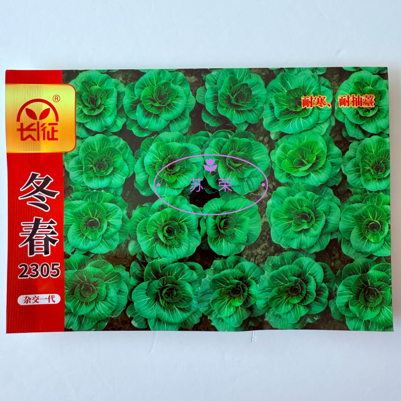 冬春2305青梗菜种子20克抗病耐寒耐抽苔青菜种籽