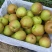 出售玉露香梨