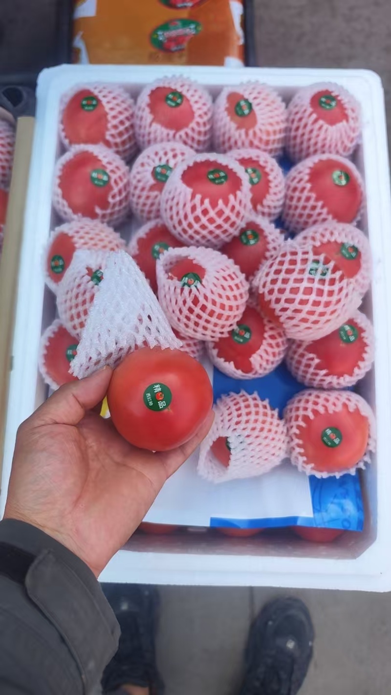 精品西红柿
