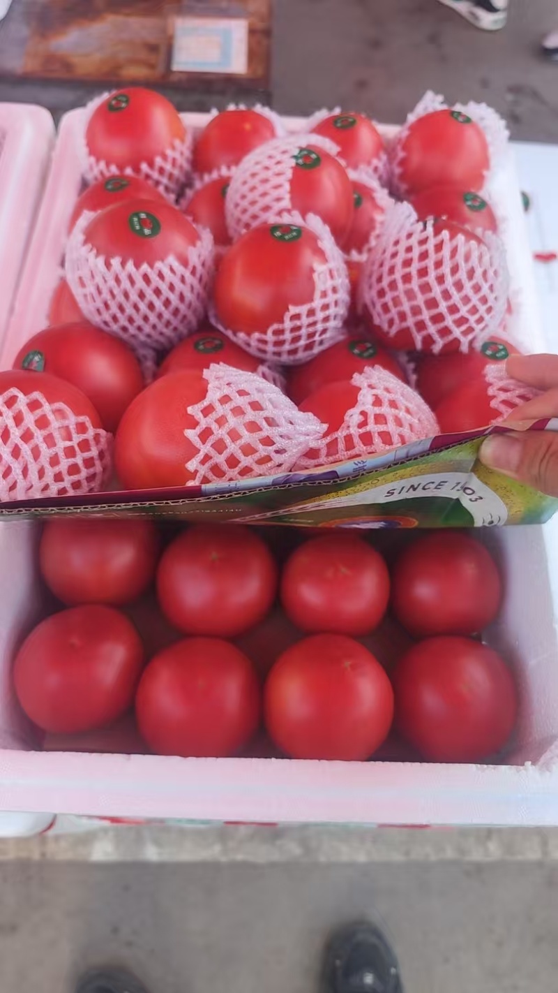 精品西红柿