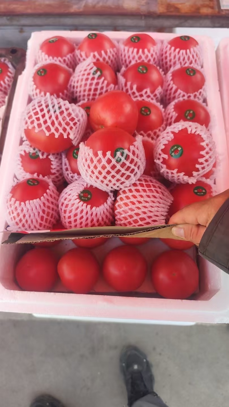 精品西红柿