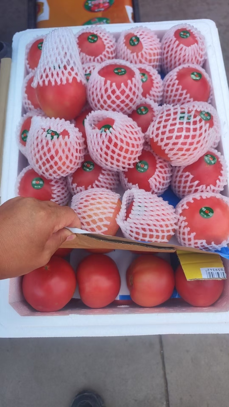 精品西红柿