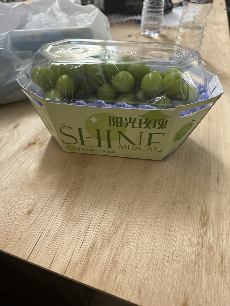 烟台龙口阳光玫瑰上市，多年渠道做货经验，承接各种品种订单