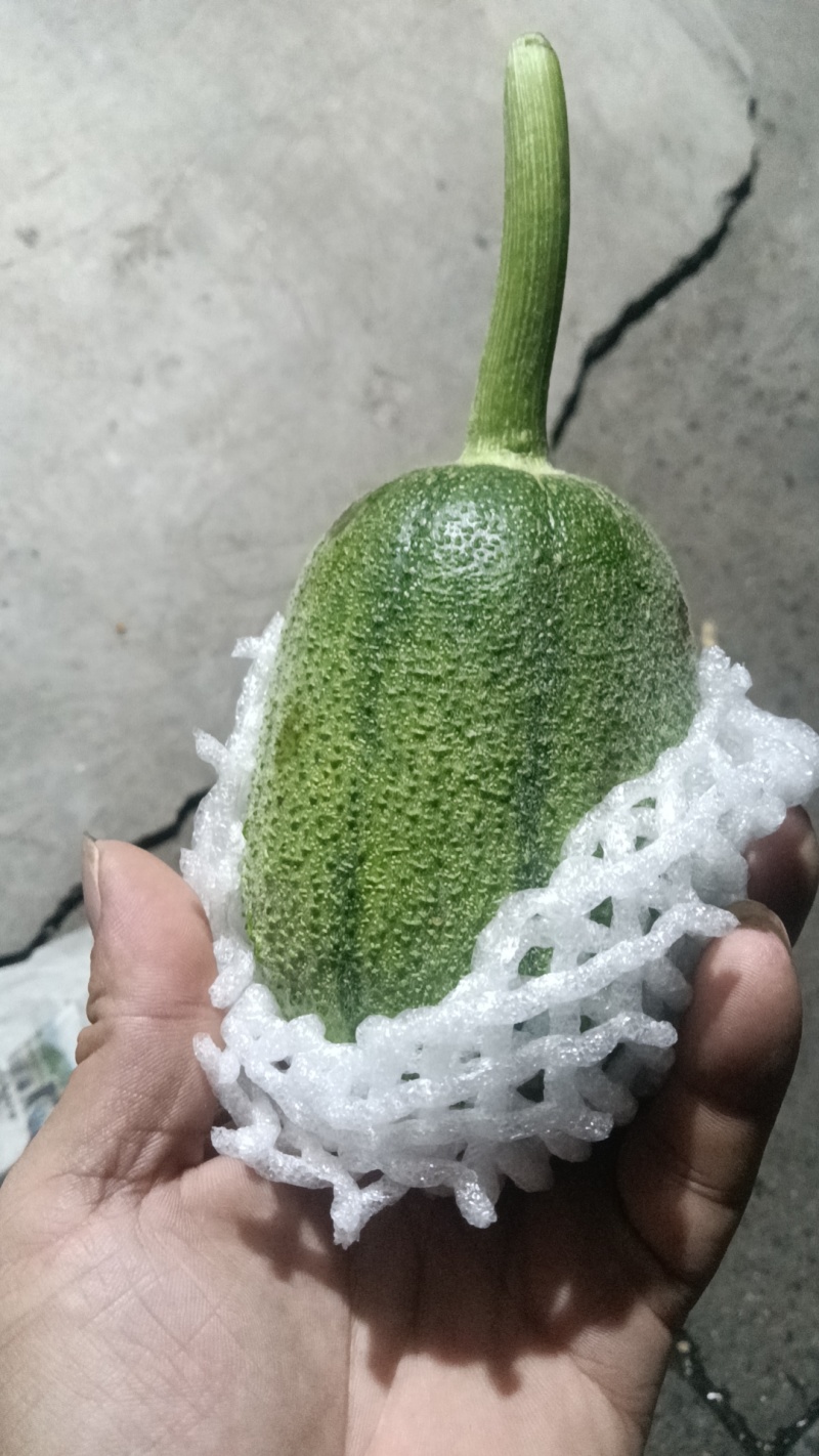 苹果丝瓜
