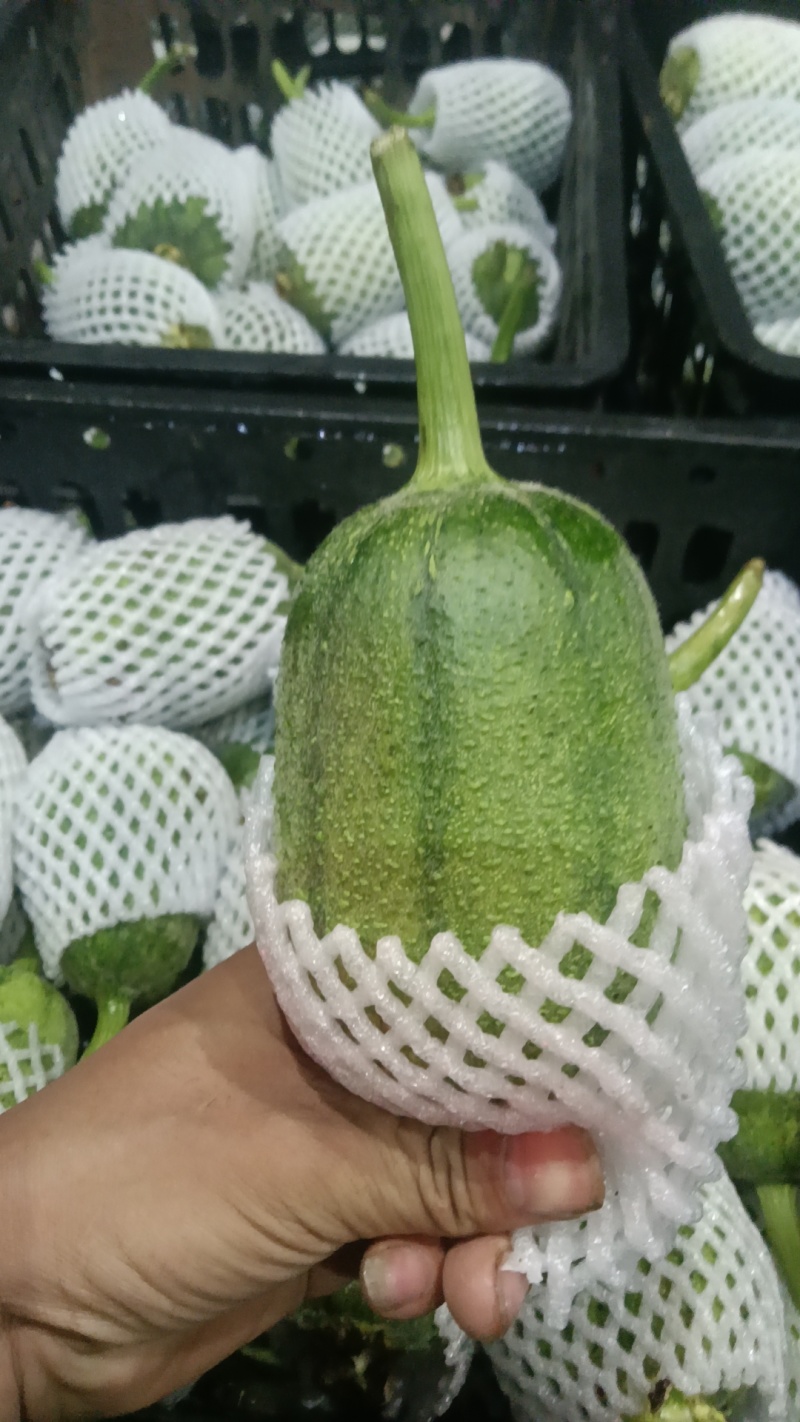 苹果丝瓜