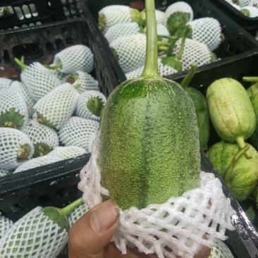 苹果丝瓜