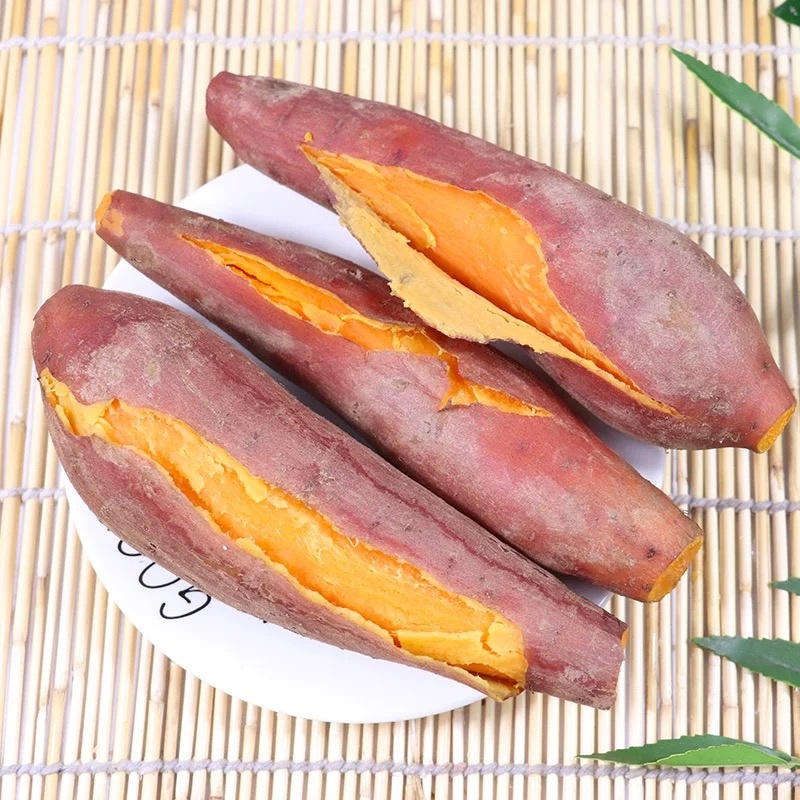 济薯26、板栗薯