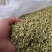 槐米一一一野生批发