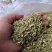 槐米一一一野生批发