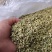 槐米一一一野生批发