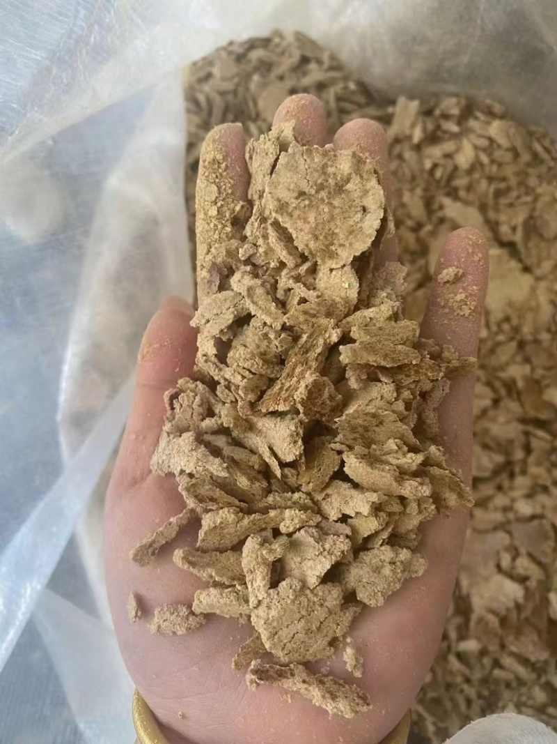 玉米饼