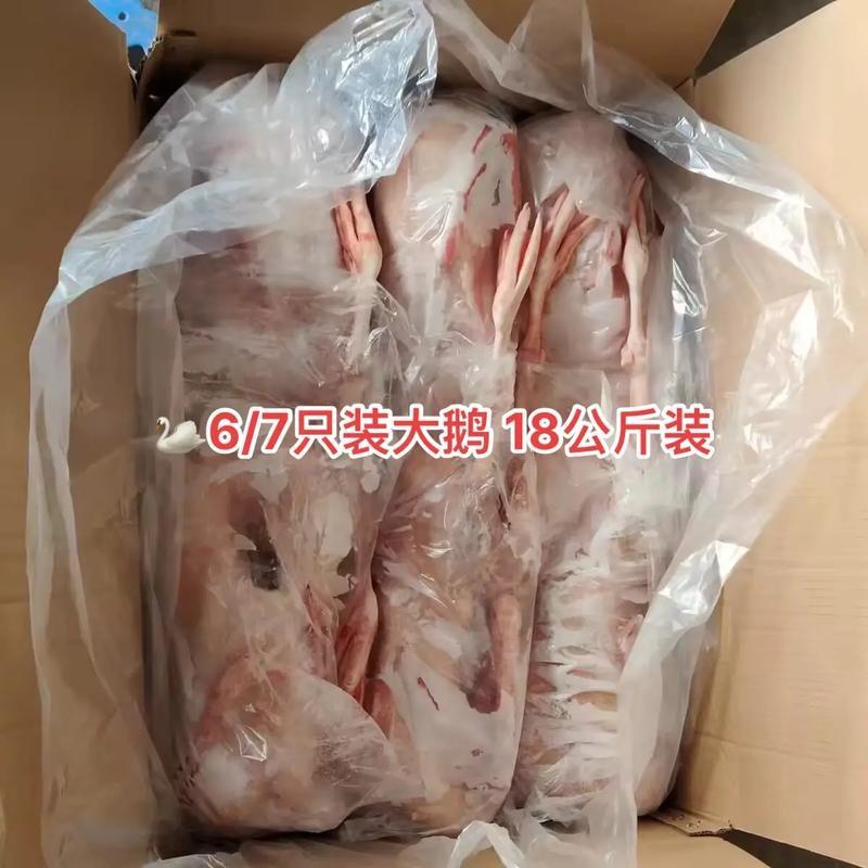 农家散养大鹅，生长周期180天左右，铁锅炖特色食材