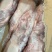 农家散养大鹅，生长周期180天左右，铁锅炖特色食材