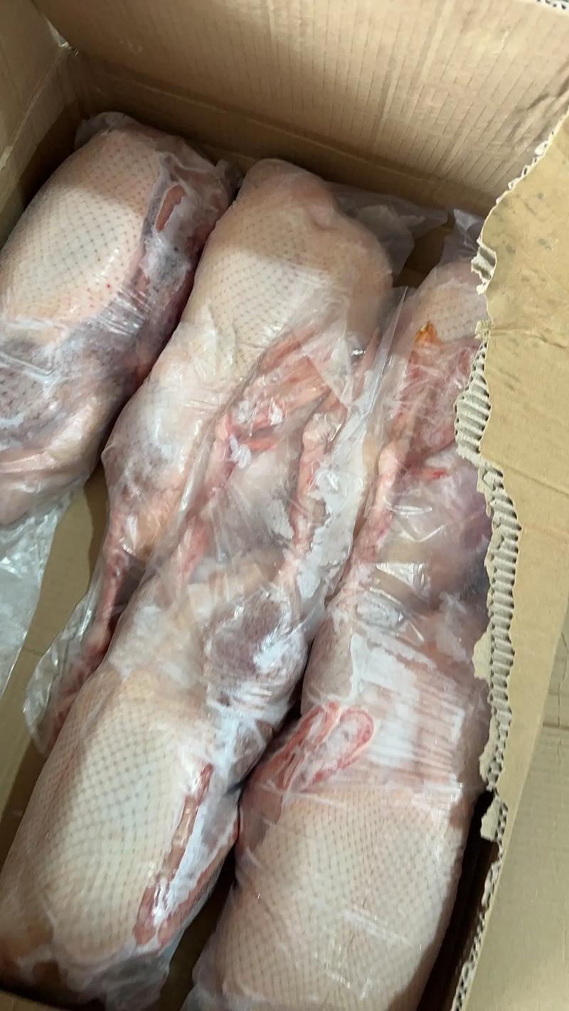 农家散养大鹅，生长周期180天左右，铁锅炖特色食材