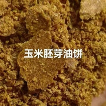 玉米胚芽油饼