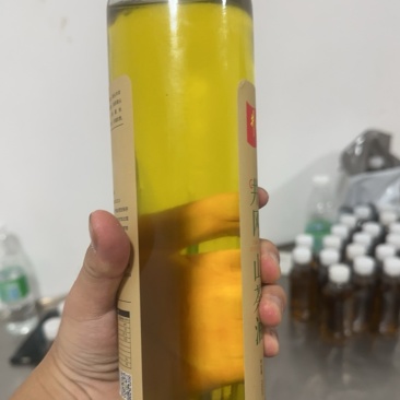 一级精炼山茶油