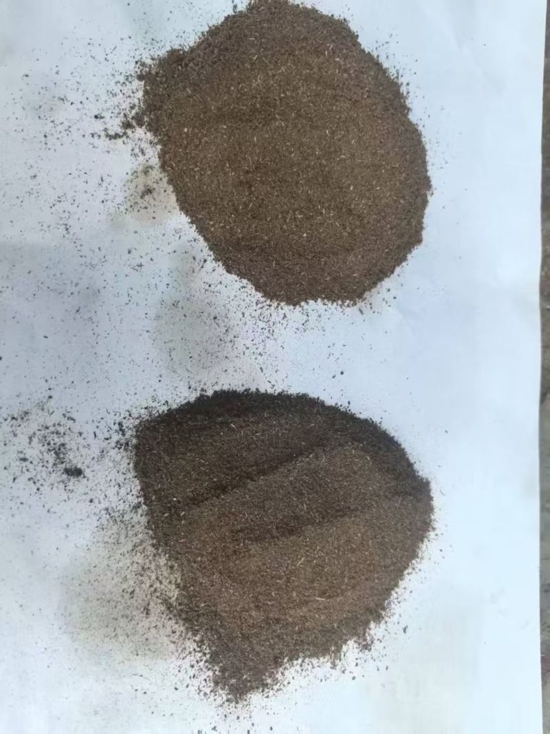 中药渣