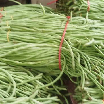 白豆角