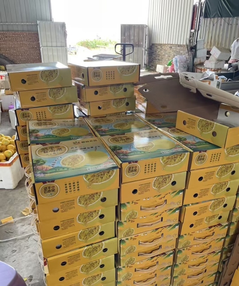 【实力供货】黄金百香果广西百香果对接市场电商商超