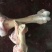 熬汤牛棒骨