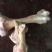 熬汤牛棒骨