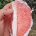 三红柚4万斤，口感好，水份足