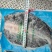 开背清江鱼