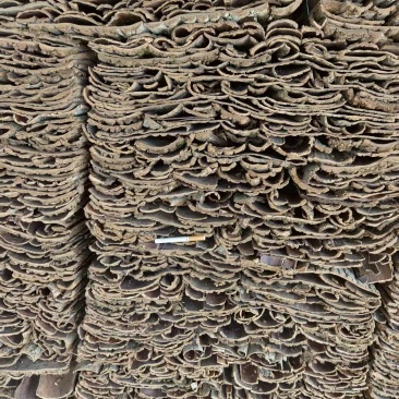 湖北十堰杜仲皮大量有货/中药材杜仲大批量发货量大从优