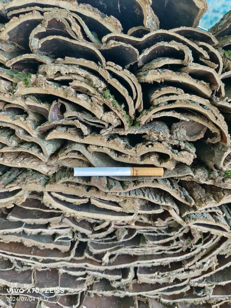 湖北十堰杜仲皮大量有货/中药材杜仲大批量发货量大从优