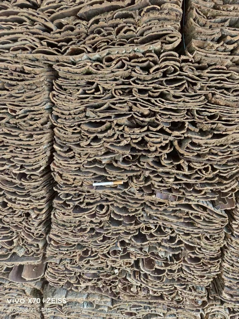 湖北十堰杜仲皮大量有货/中药材杜仲大批量发货量大从优