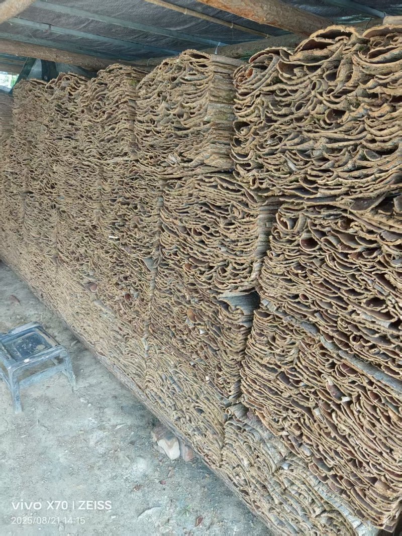 湖北十堰杜仲皮大量有货/中药材杜仲大批量发货量大从优