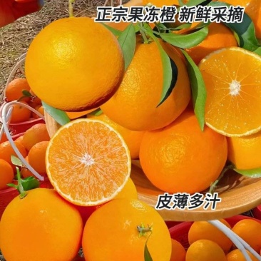 《精选》爱媛果冻橙，果靓味甜价优，一手产地货源