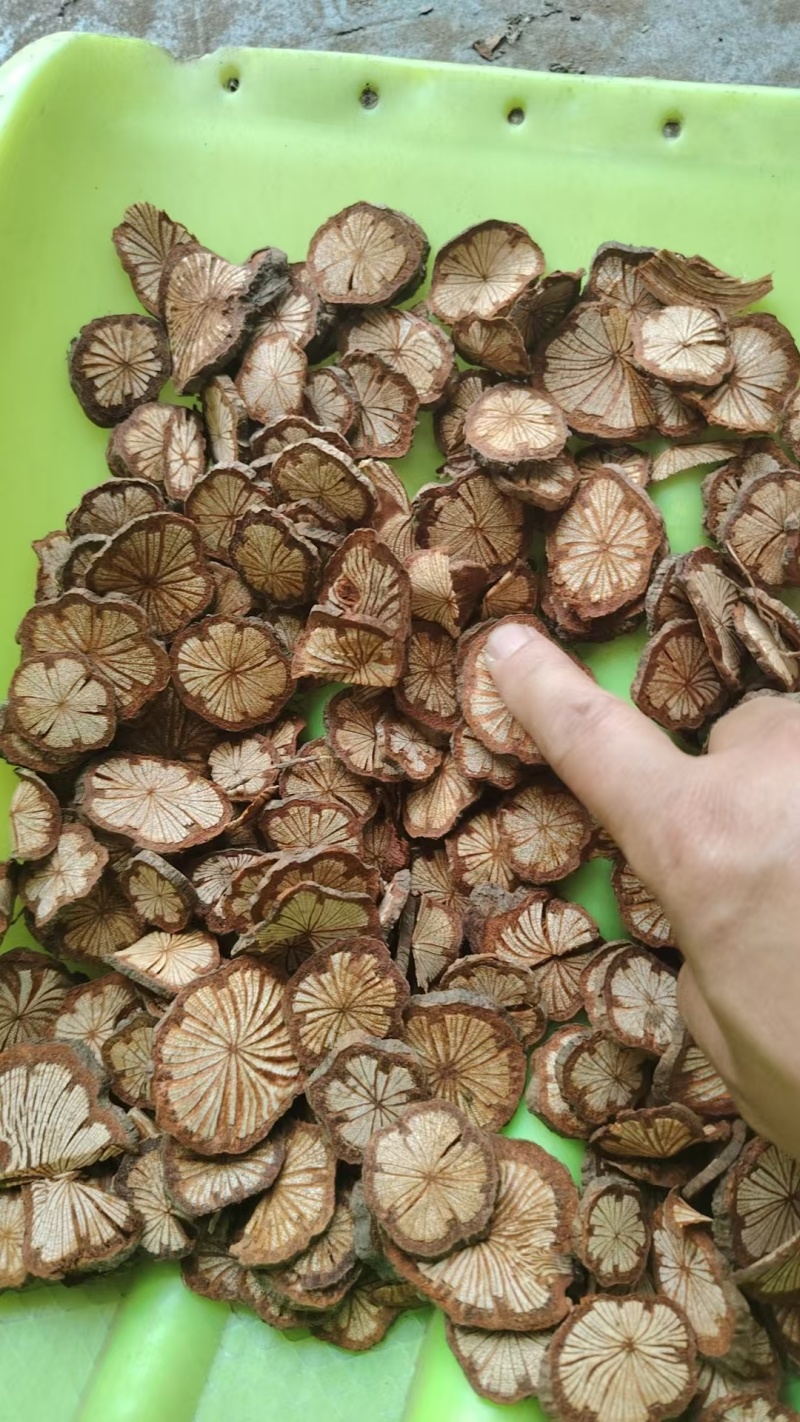 精品大血藤货量充足/中药材红藤大量批发价格实惠欢迎来电