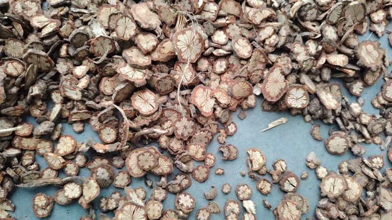 精品大血藤货量充足/中药材红藤大量批发价格实惠欢迎来电