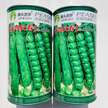 豌豆种子台湾长寿仁豌豆种子山地大王豌豆水果豆种子