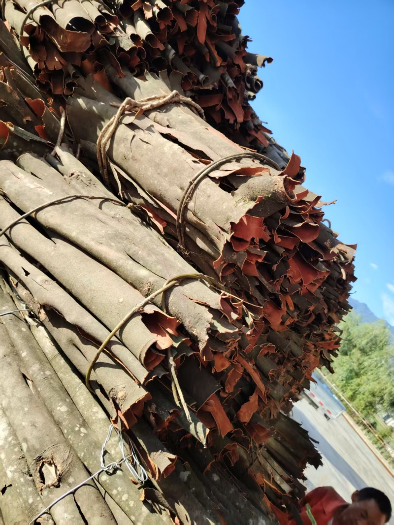 精品桂皮大量有货/湖北十堰产地发货/中药材桂皮量大优惠