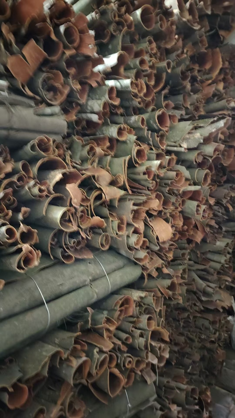 精品桂皮大量有货/湖北十堰产地发货/中药材桂皮量大优惠