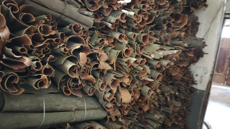 精品桂皮大量有货/湖北十堰产地发货/中药材桂皮量大优惠