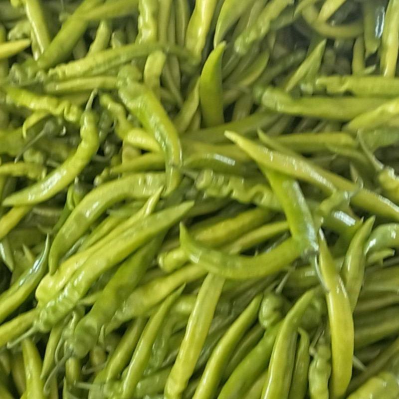 各种尖椒质量好价格合理