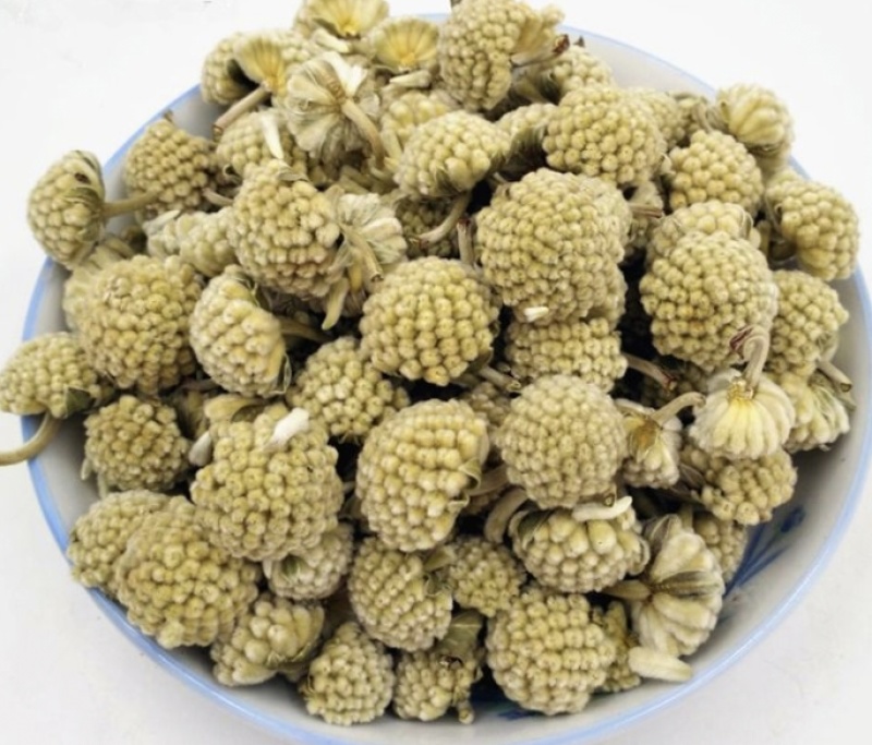 绿萝花西藏优质绿萝花散装批发零售