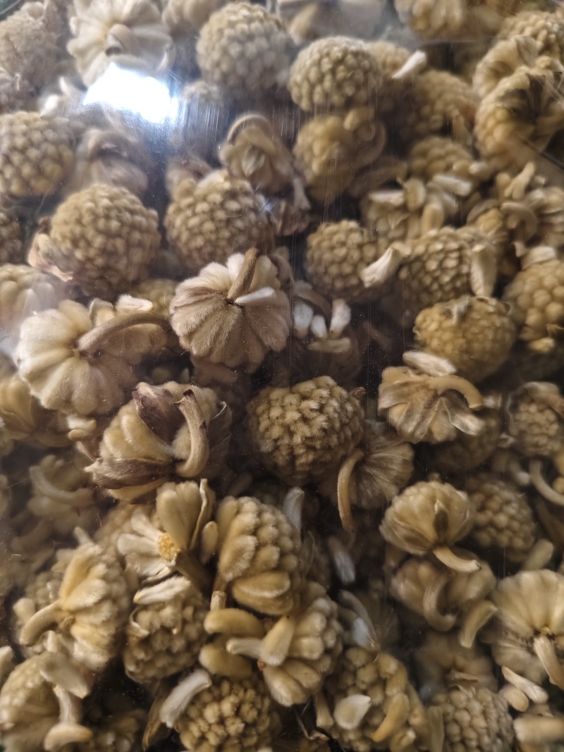 绿萝花西藏优质绿萝花散装批发零售