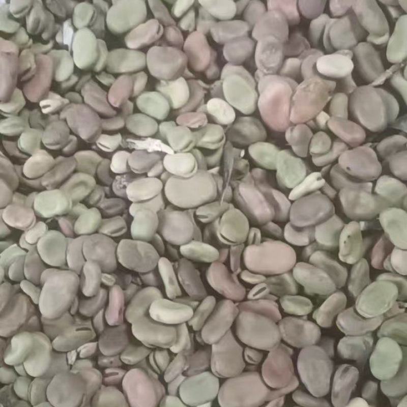 通货蚕豆，价格便宜，保证质量，诚信经营，欢迎光临