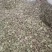 通货蚕豆，价格便宜，保证质量，诚信经营，欢迎光临