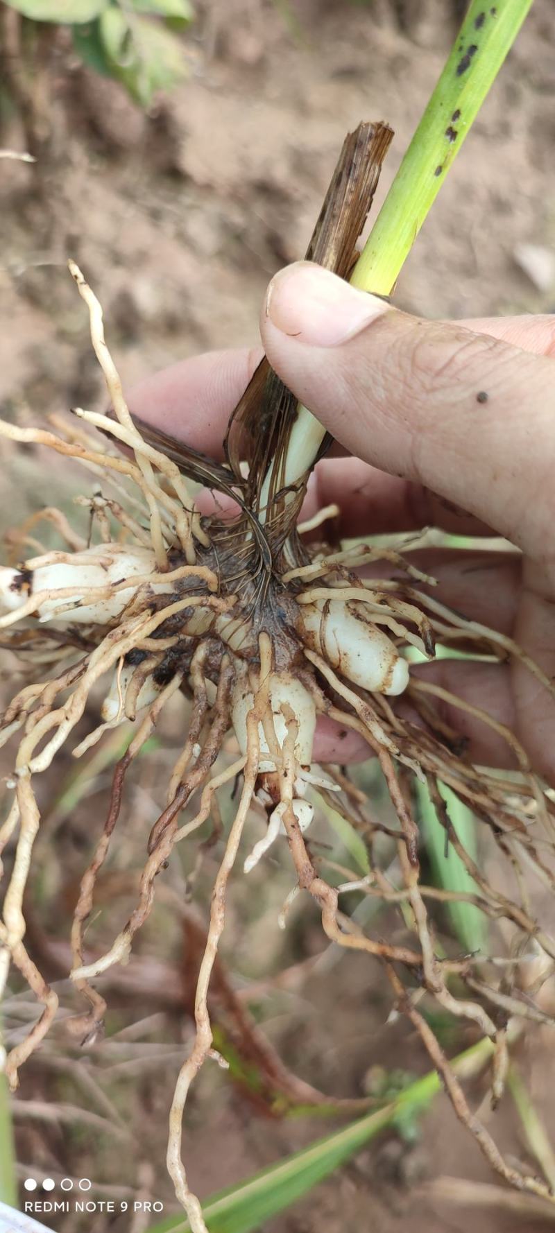 砍价直接聊一聊没其他联系方式