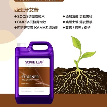 西班牙艾普生根冲施肥——土根儿