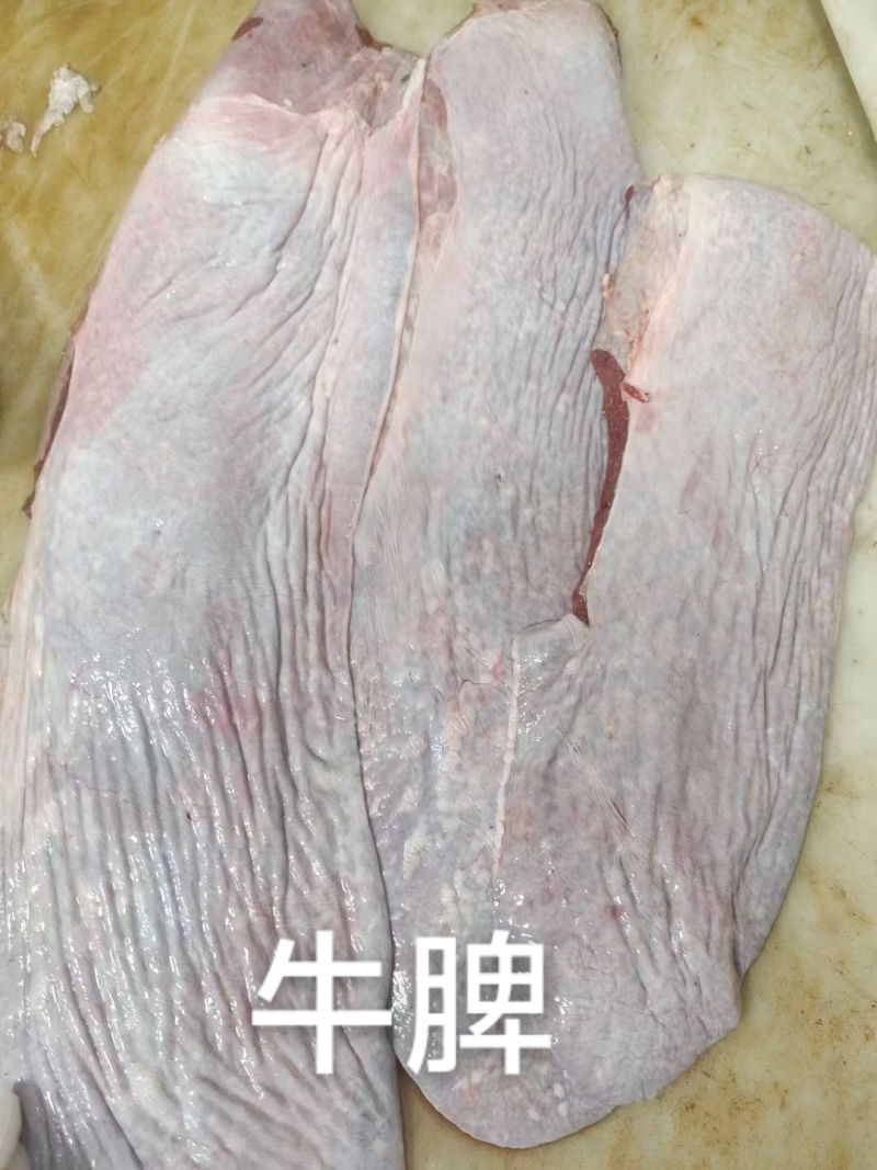 小板牛脾（20公斤）