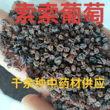 索索葡萄，中药材索索葡萄索索葡萄干野生葡萄供应