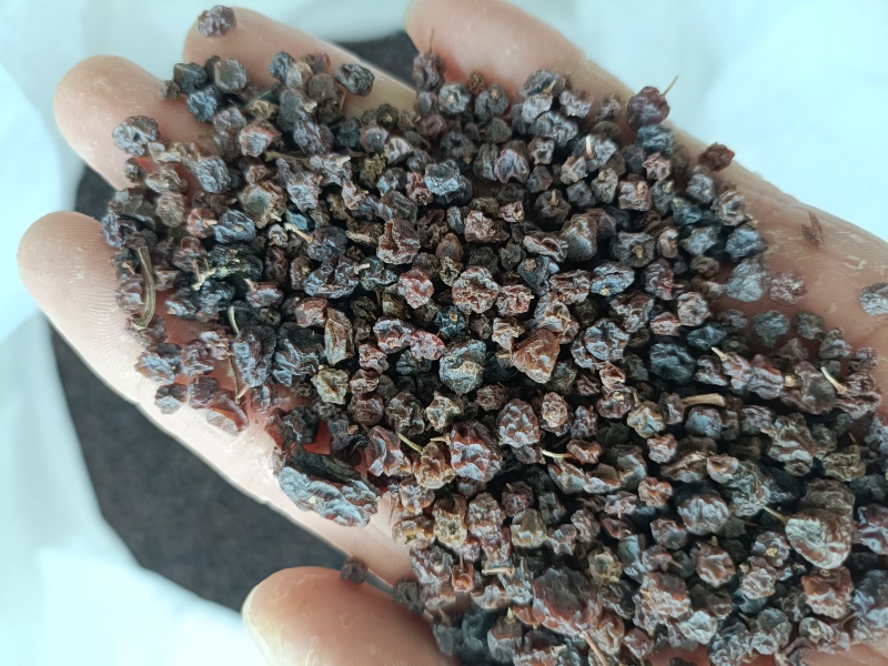 索索葡萄，中药材索索葡萄索索葡萄干野生葡萄供应